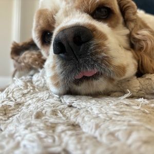 Meet your Posher, Chloe